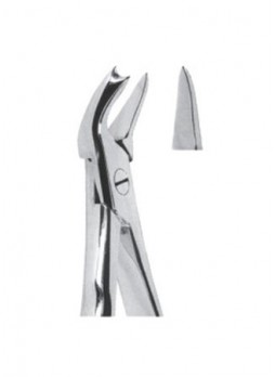 Extracting Forceps